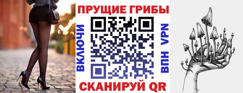 Псилоцибиновые грибы GOLDEN TEACHER  Гаврилов Посад 